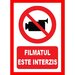 Placuta filmatul este interzis